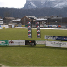 20110312_hahnenk__pflelauf_230_luc.JPG