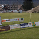 20110312_hahnenk__pflelauf_232_luc.JPG