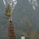 DSC_9957.jpg