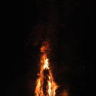 DSC_0032.jpg