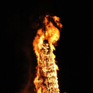DSC_0037.jpg