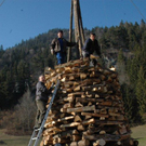 Funkenaufbau Wald