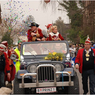 20110308_hochfasching_212_luc.JPG