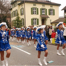 20110308_hochfasching_215_luc.JPG