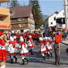 20110308_hochfasching_371_luc.JPG