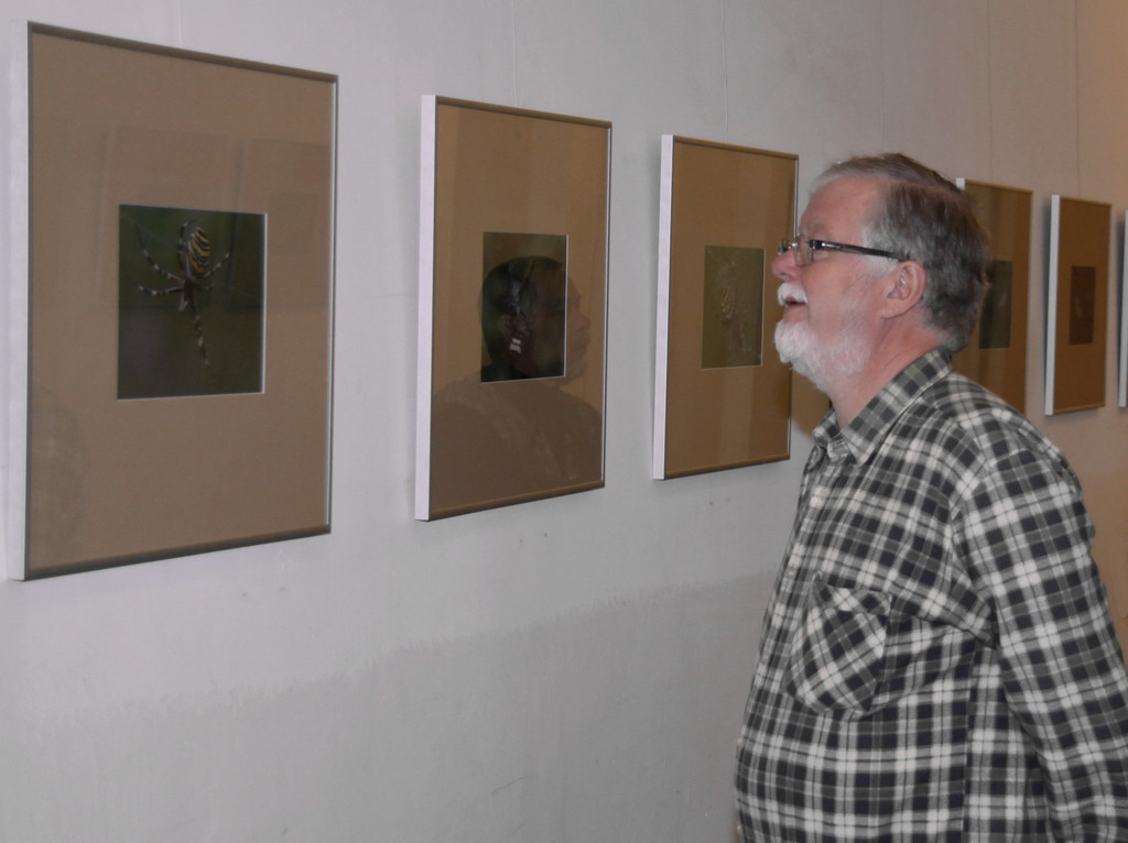 Libellenausstellung  2011 _1__jpg-1300046314