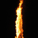 DSC_0257.jpg