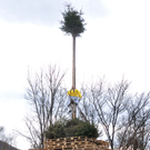 KinderfunkenAltach068.JPG