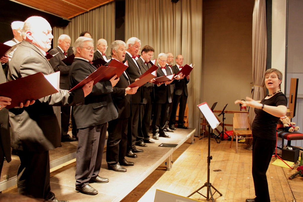 Gemeinschaftskonzert Konzert Festhalle 2010 _10__jpg-1300083467