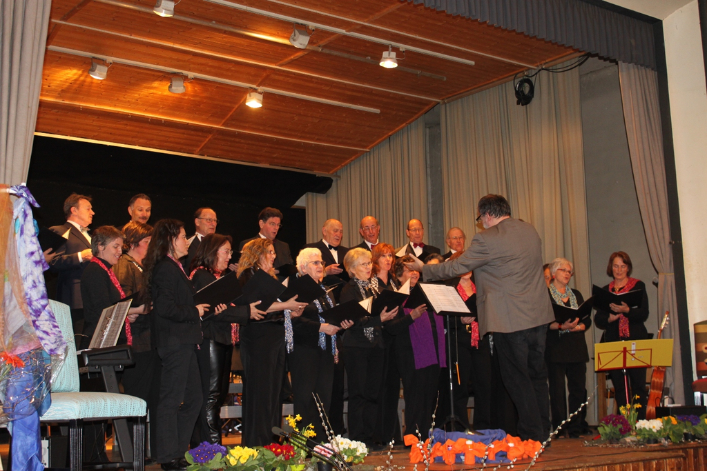 Gemeinschaftskonzert Konzert Festhalle 2010 _13__jpg-1300083521