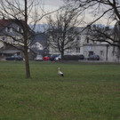 DSC_0059.JPG