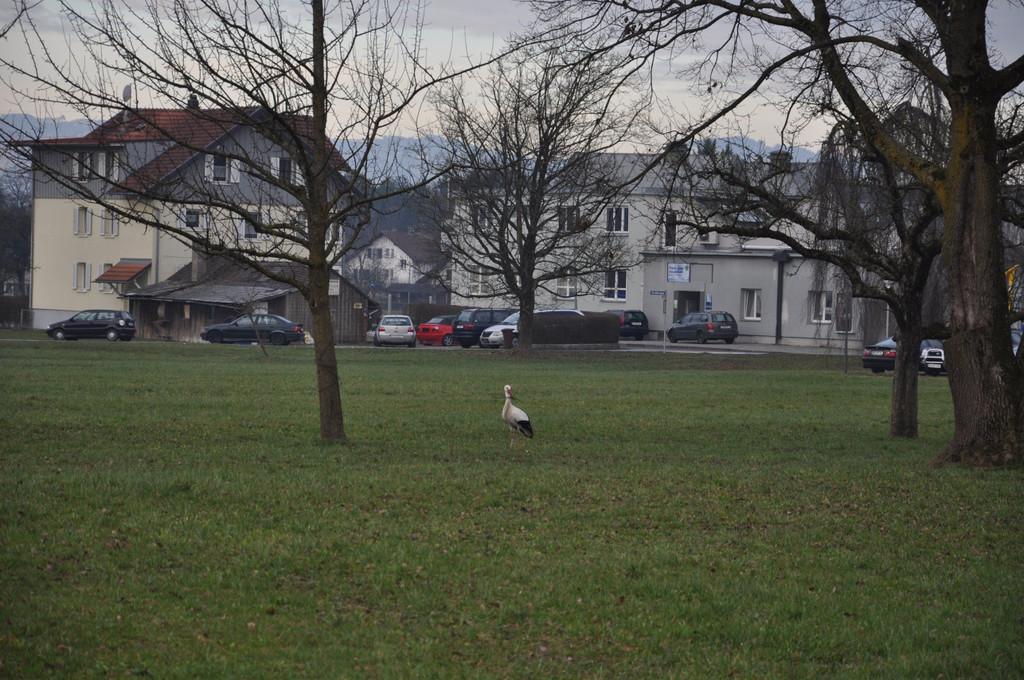 DSC_0059.JPG