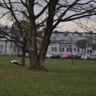 DSC_0061.JPG