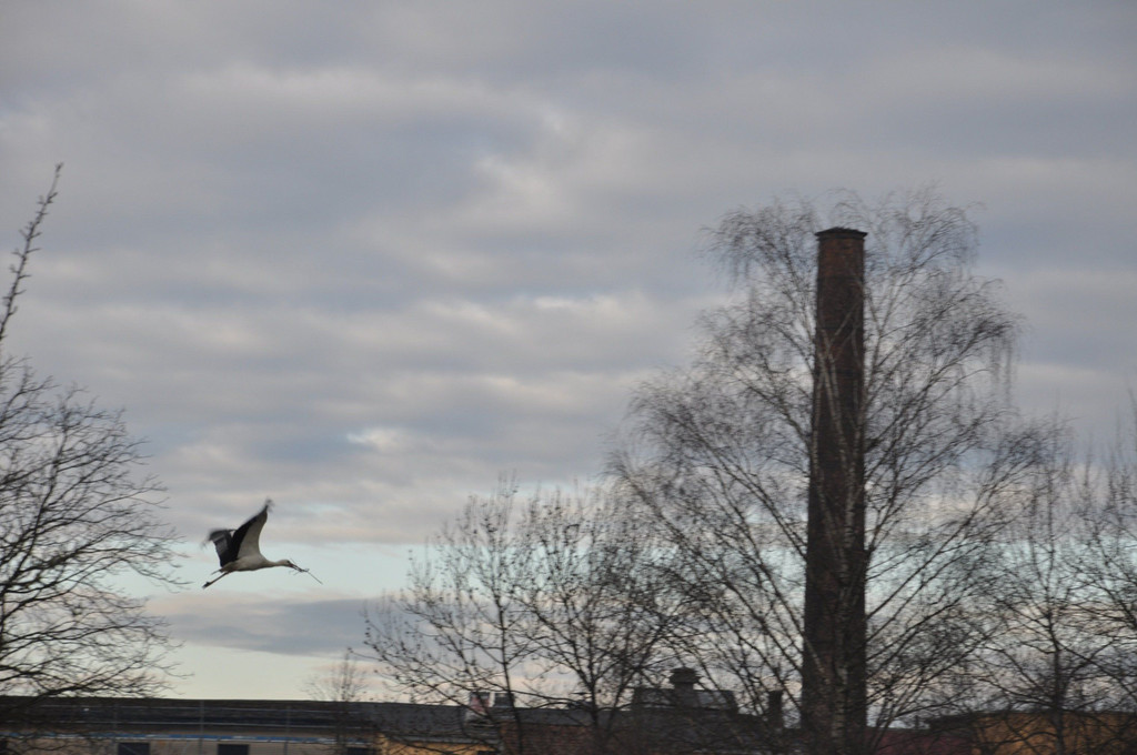 DSC_0066.JPG