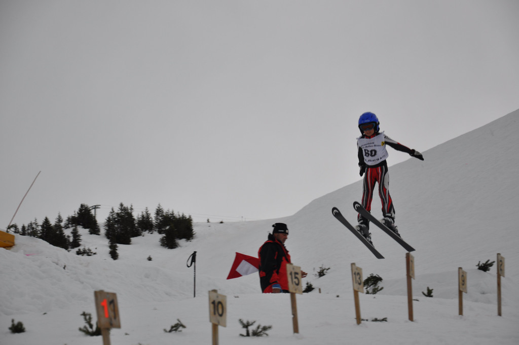 DSC_0488.jpg