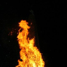 IMG_3161_1.jpg