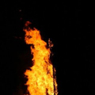 IMG_3187_1.jpg