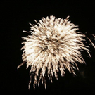 IMG_3264_1.jpg