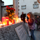 Ant AntomkraftDemo14031102.jpg