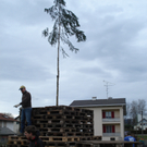 DSC03924.JPG