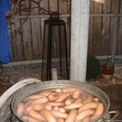 DSC03983.JPG