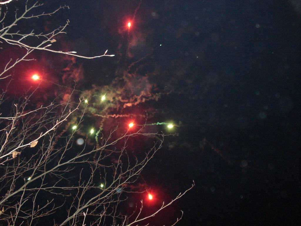 DSC03993.JPG