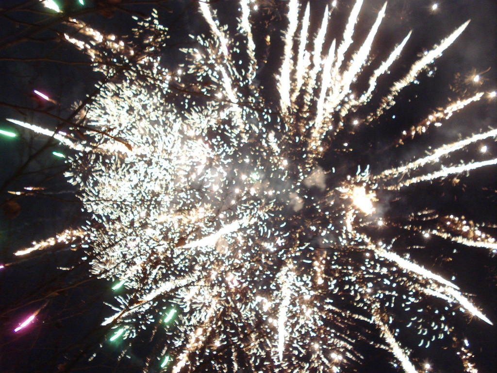 DSC03998.JPG