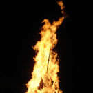 DSC04008.JPG