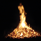 DSC04009.JPG