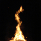 DSC04010.JPG
