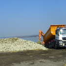 109_6230_resized_jpg-1300152446