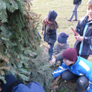 Summ4Anzuenden_jpg-1300178194