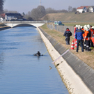15032011pkwalzfibaktivnews_25.jpg