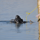 15032011pkwalzfibaktivnews_26.jpg