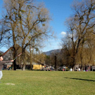 normal_15032011fruehlingwm2aktivnews_18.jpg