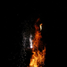 DSC00056.JPG