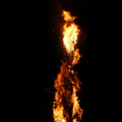 DSC00057.JPG