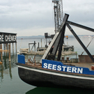 IMG_7288.jpg