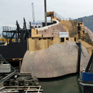 IMG_7296.jpg