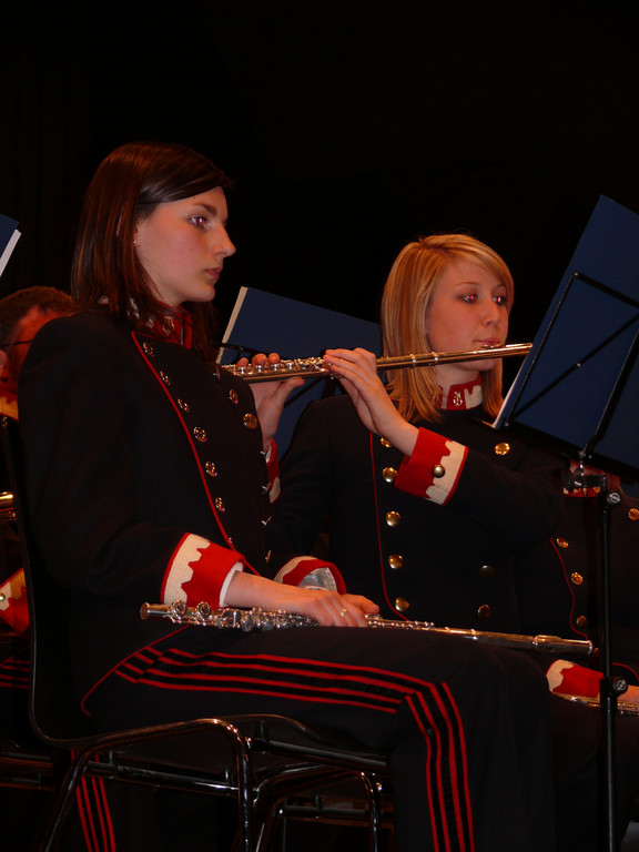 Musikverein I.JPG
