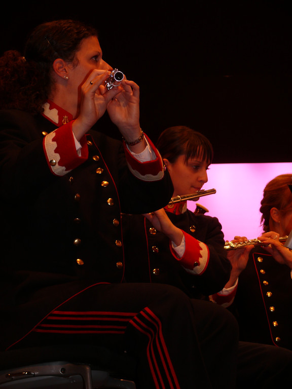 Musikverein II.JPG