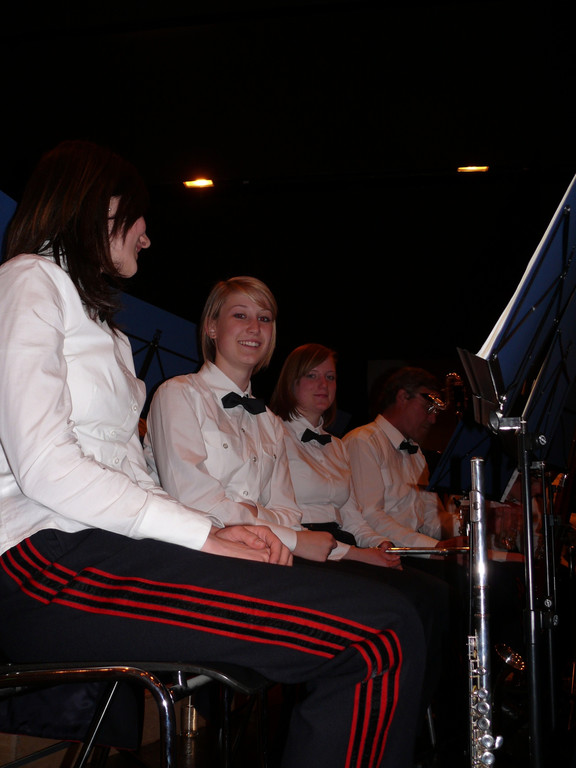 Musikverein VI.JPG