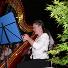 Musikverein VIII.JPG