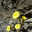 L1020073.JPG