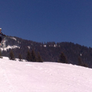 02032011784_jpg-1300293983