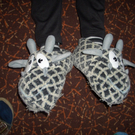 CIMG7098_JPG-1300294456