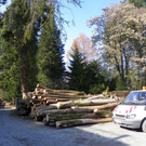 9_3_11 017_jpg-1300321303