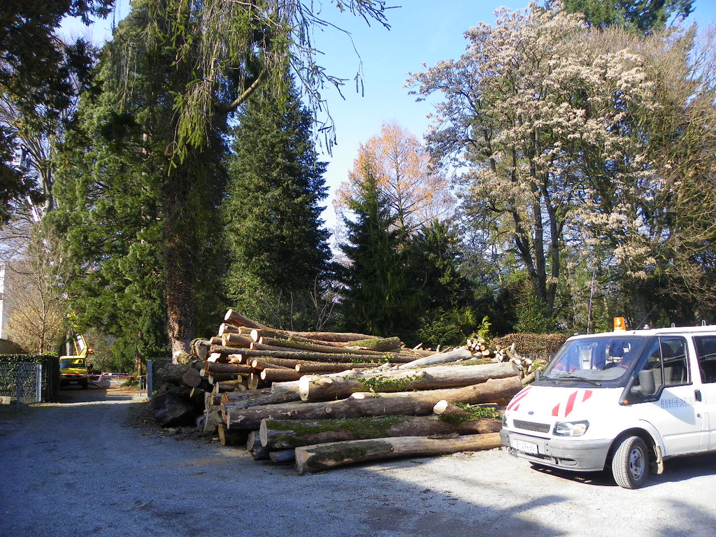 9_3_11 017_jpg-1300321303