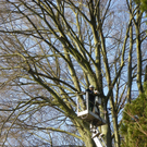 9_3_11 010_jpg-1300321362