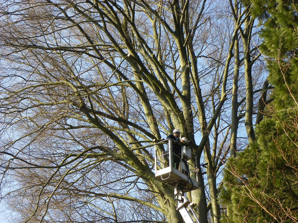 9_3_11 010_jpg-1300321362